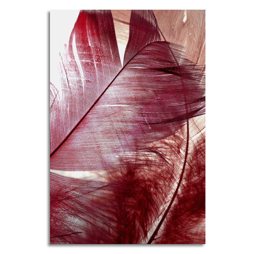 Leinwandbild - Red Feather
