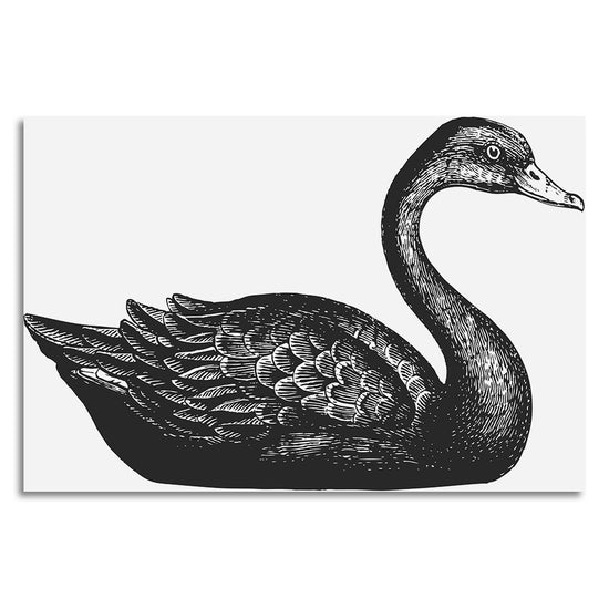 Queen Kerosin Leinwandbild - Black Swan