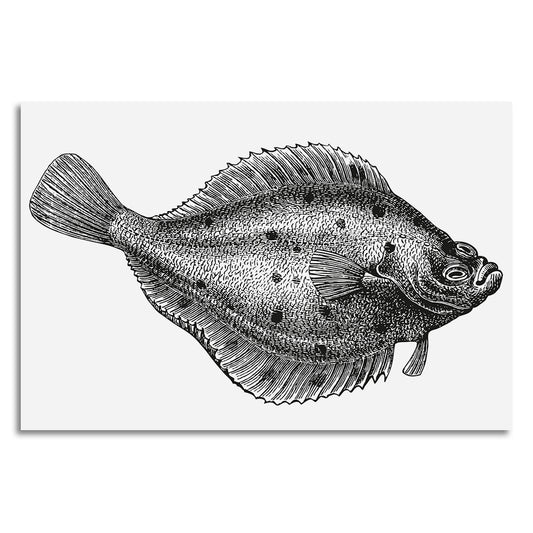 Leinwandbild - Flounder