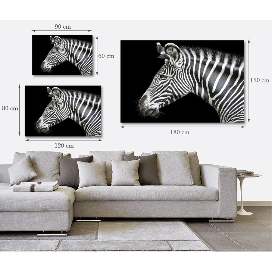 Acrylglasbild - Zebra Detail