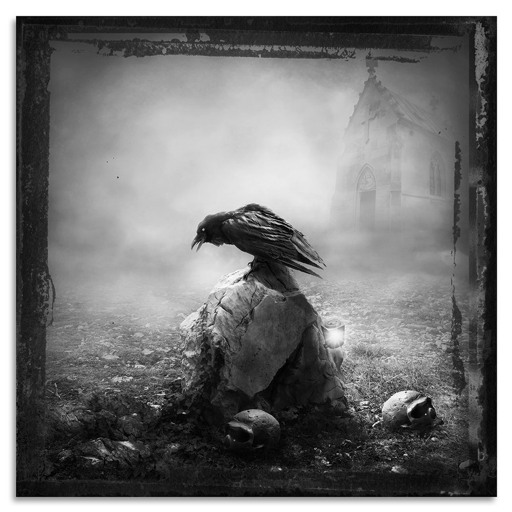 Acrylglasbild - Vulture
