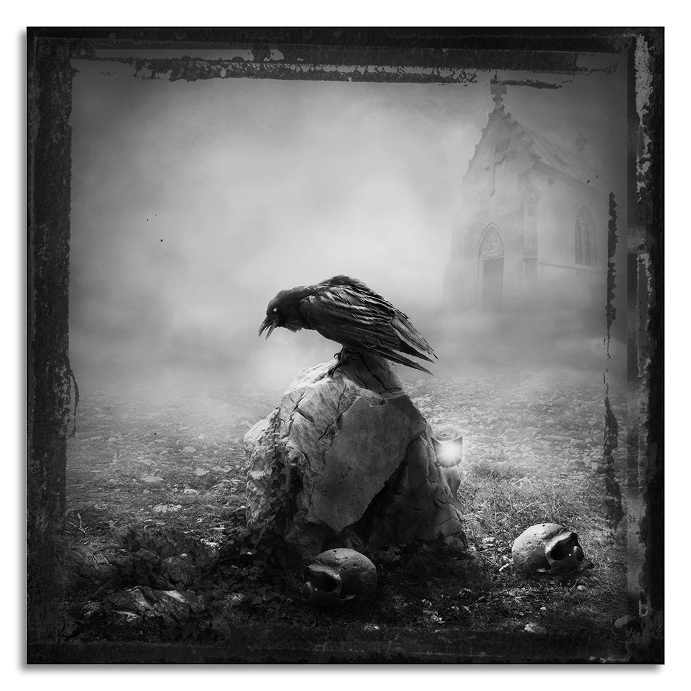 Leinwandbild - Raven