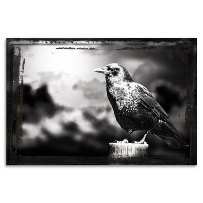 Acrylglasbild - Birdy