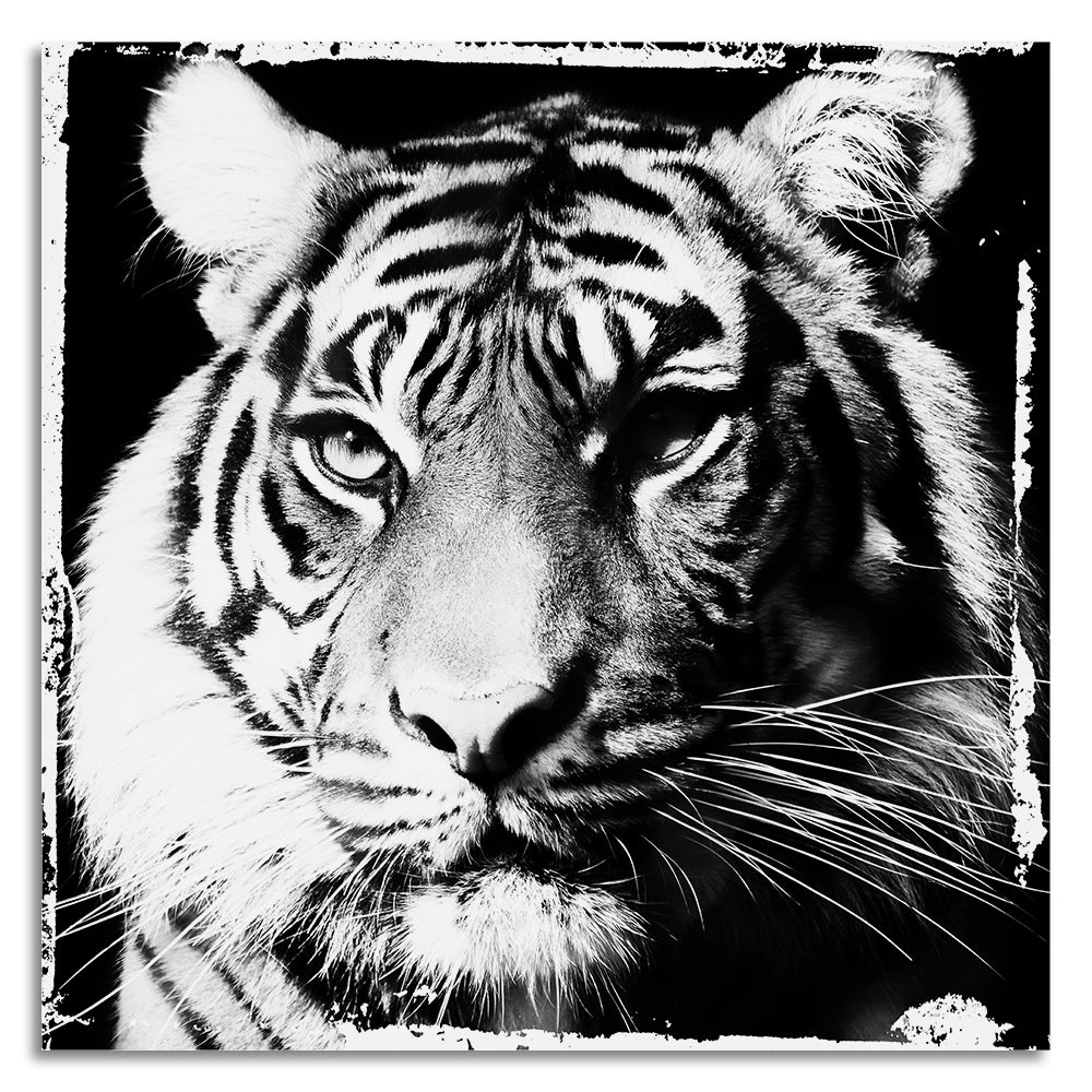 Leinwandbild - Tiger In Me