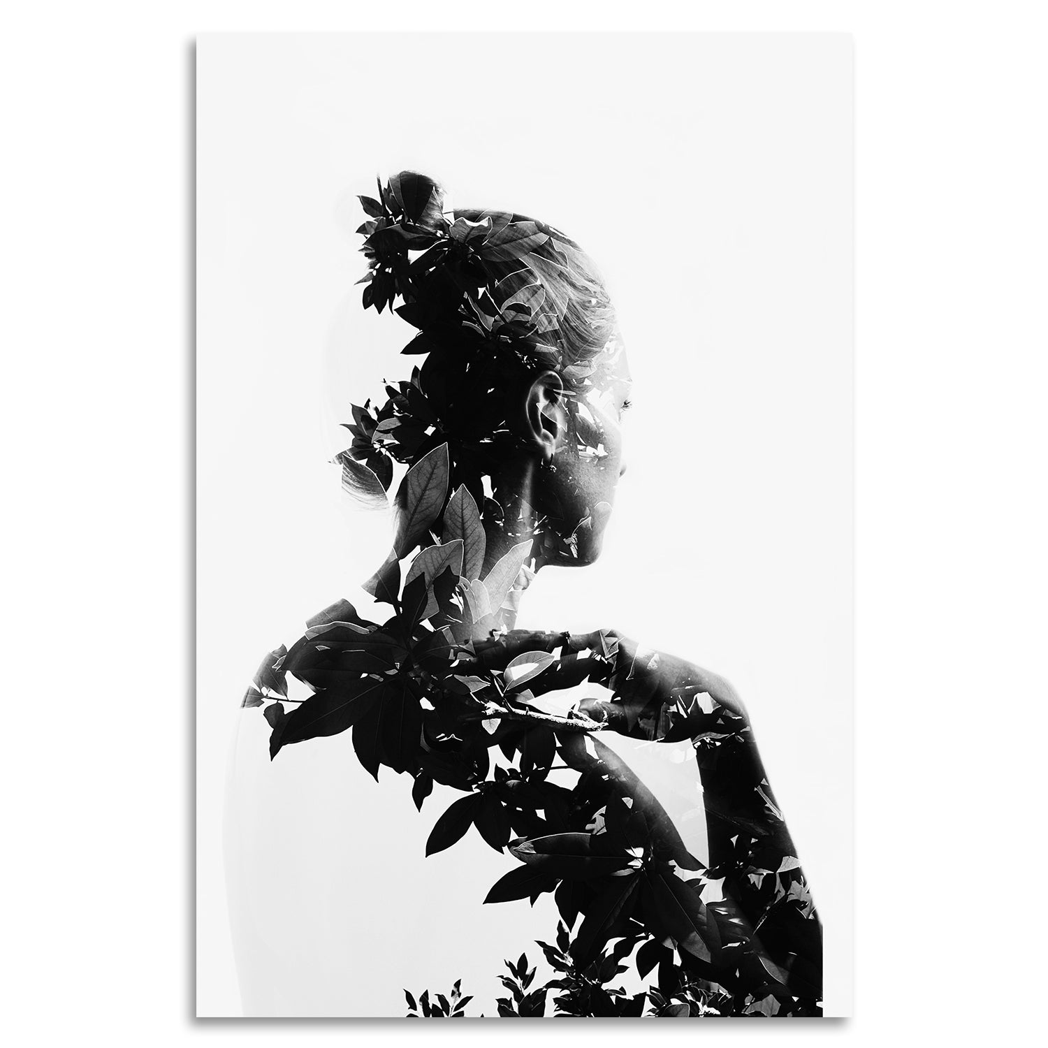 Acrylglasbild - Lady Flower II
