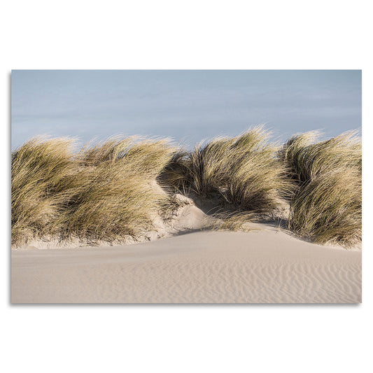 Acrylglasbild - Stormy Dune