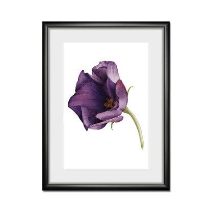 Rahmenbild - Purple Blossom