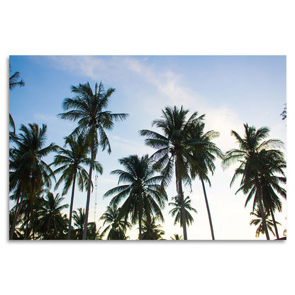 Acrylglasbild - Summer Palms