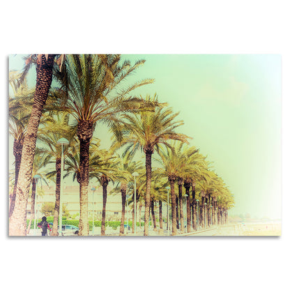 Acrylglasbild - Palm Esplanade