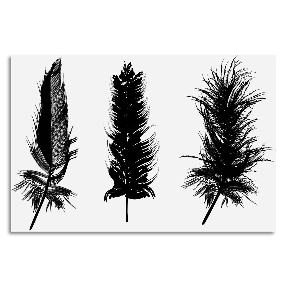 Leinwandbild - Black Feathers
