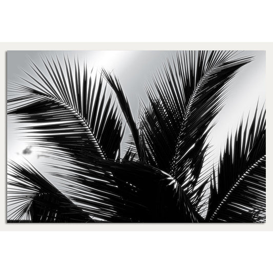 Aluminiumbild - Palm Tree Detail