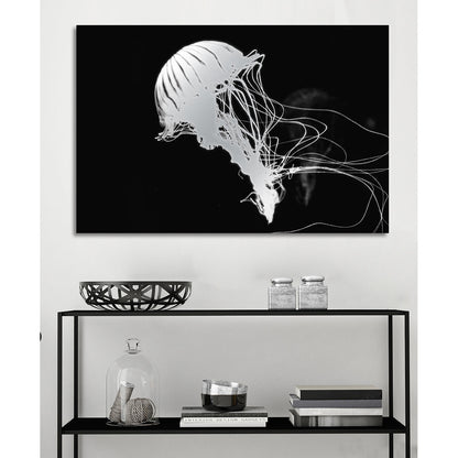 Aluminiumbild - Jelly Fish Black Wohnbeispiel