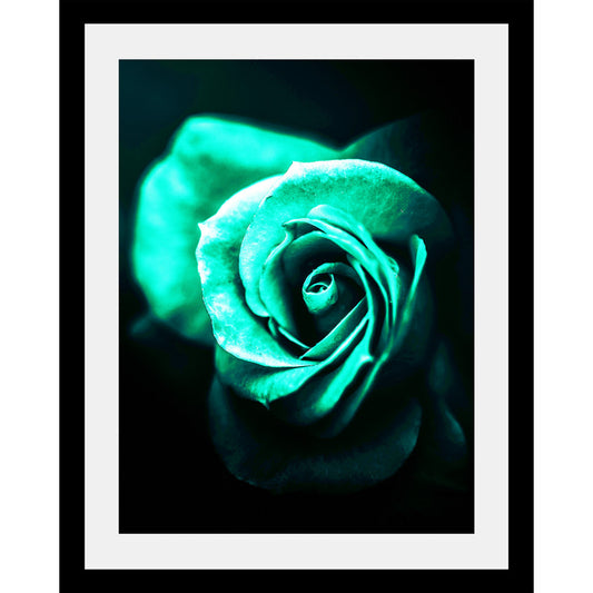 Rahmenbild - Green Rose
