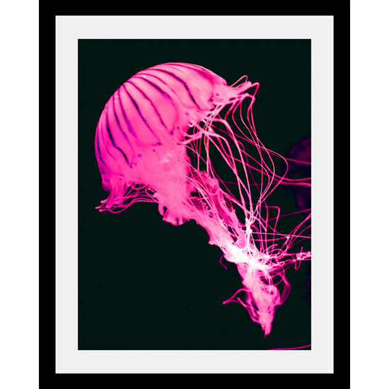 Queen Kerosin Rahmenbild - Neon Jelly FIsh