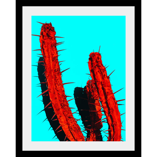 Rahmenbild - Pop Cactus