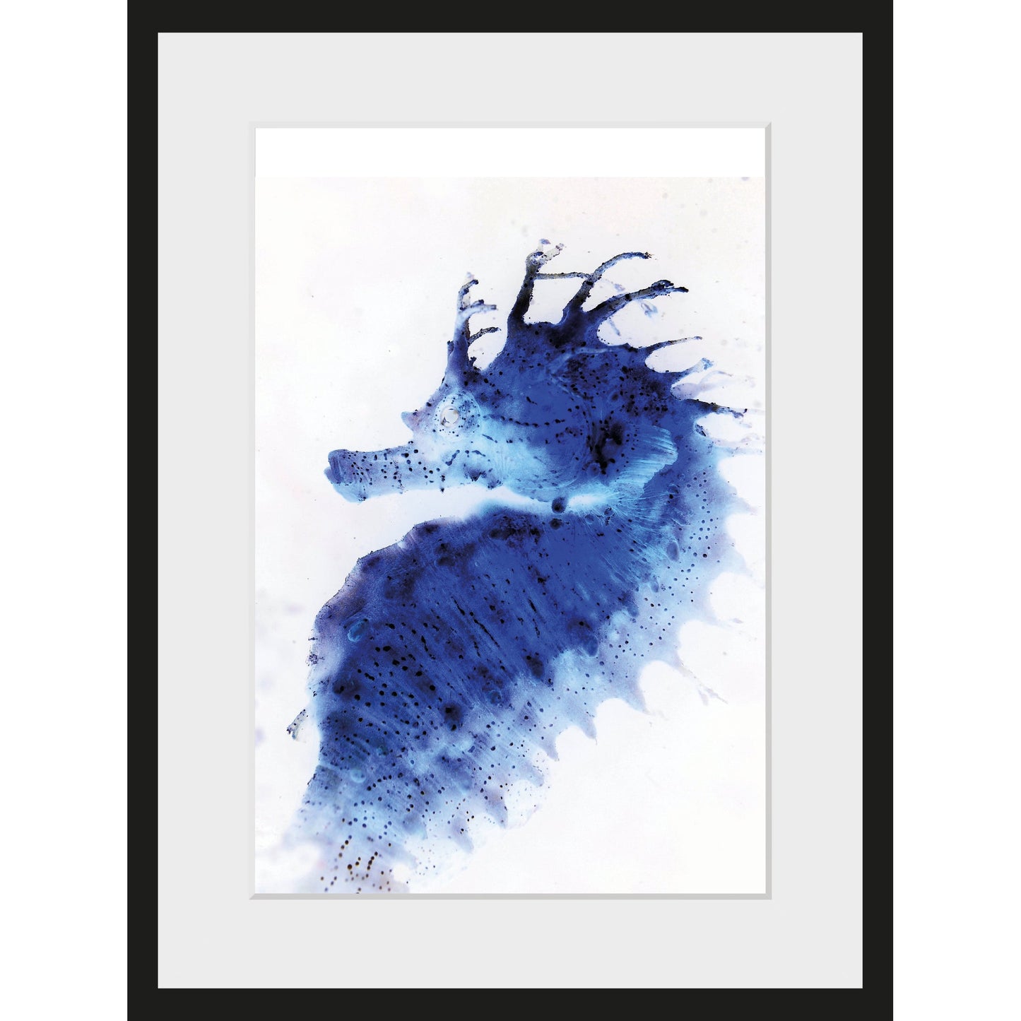 Rahmenbild - Blue Sea Horse
