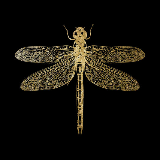 Blattgold Bild - Golden Dragonfly