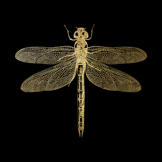 Queen Kerosin Blattgold Bild - Golden Dragonfly