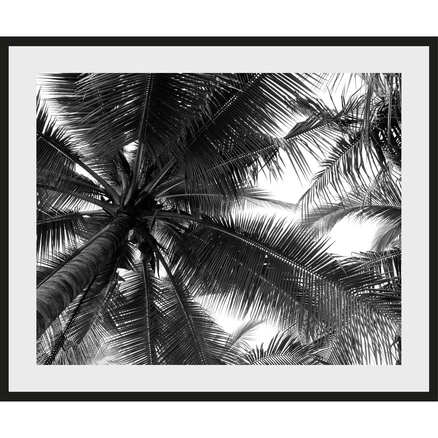 Rahmenbild - Palm trees
