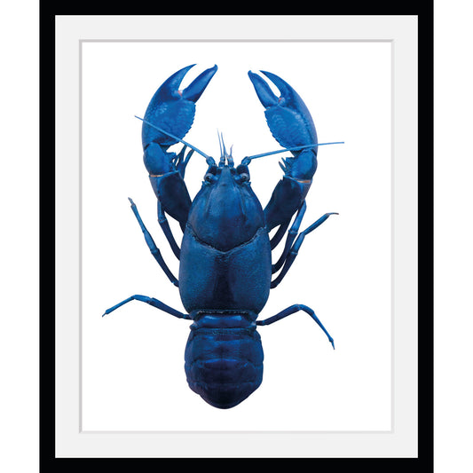 Rahmenbild - Crayfish