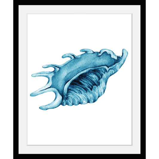 Rahmenbild - Blue seashell