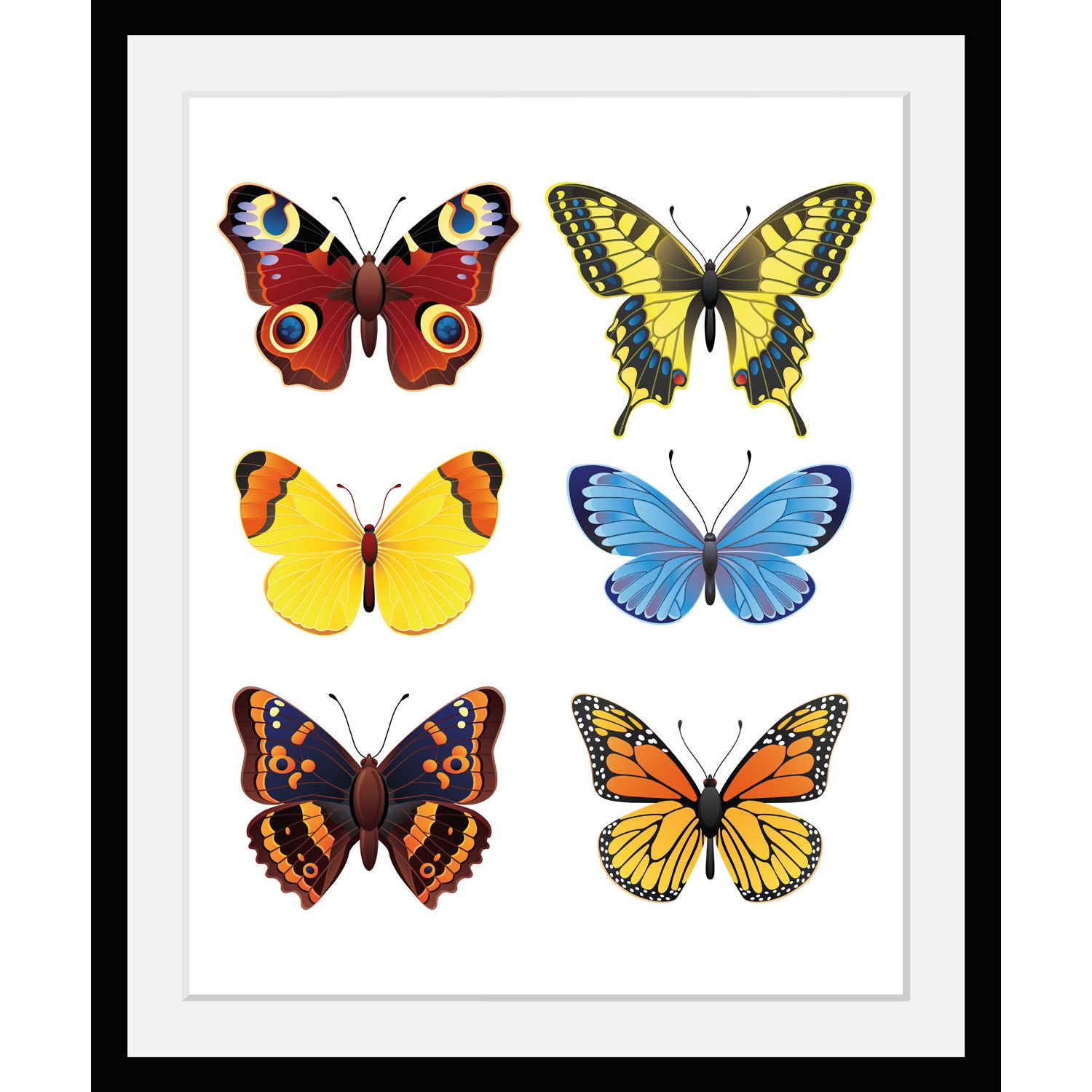 Rahmenbild - Many butterflies