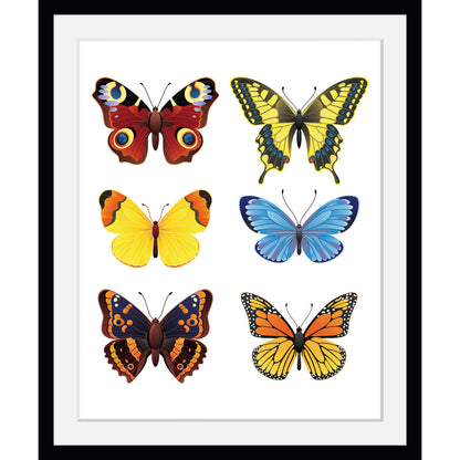 Rahmenbild - Many butterflies