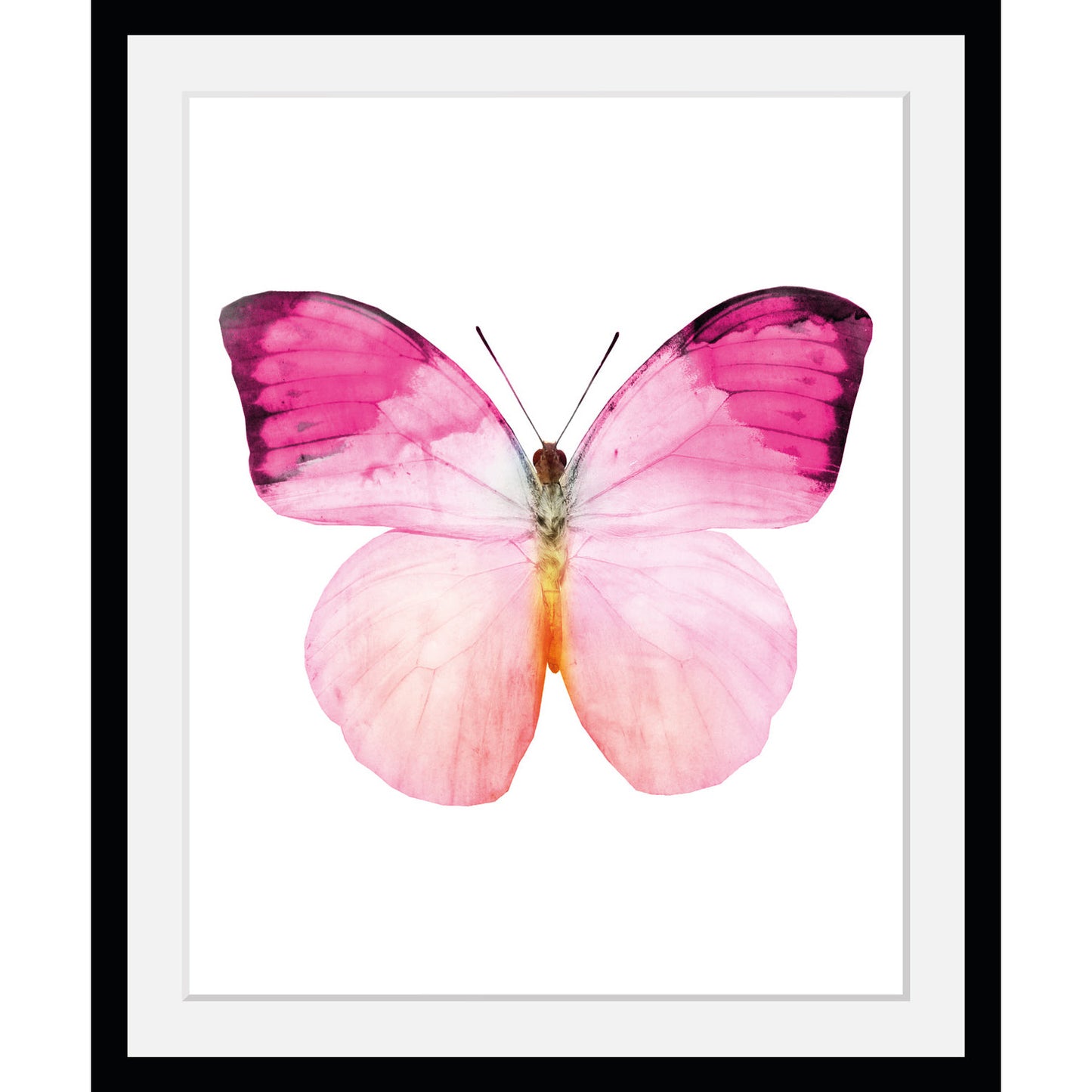 Rahmenbild - Aquarelle Pink Butterfly II