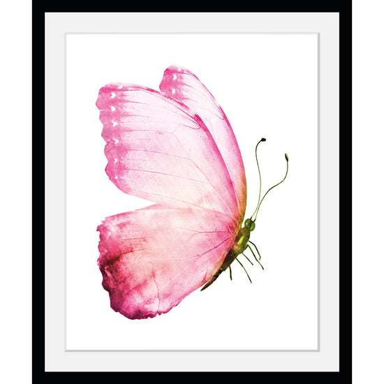 Queen Kerosin Rahmenbild - Aquarelle Pink Butterfly I