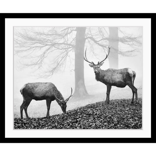 Rahmenbild - Two Deer