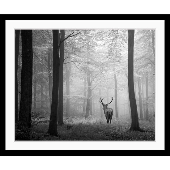 Queen Kerosin Rahmenbild - Deer into the woods