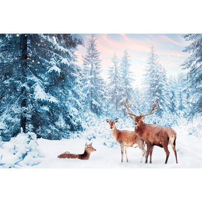 Acrylglasbild - Wild Deers