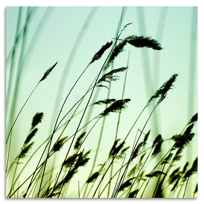 Acrylglasbild - Blade Of Grass