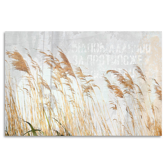 Queen Kerosin Acrylglasbild - Dancing Grasses