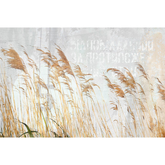 Queen Kerosin Leinwandbild - Melis