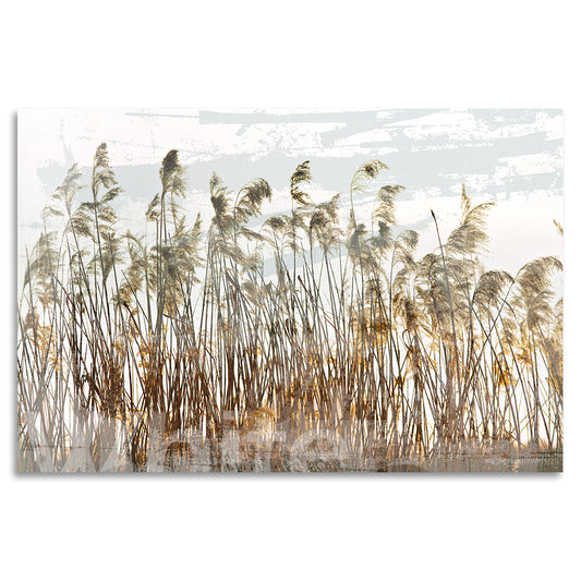 Acrylglasbild - Swinging Grasses