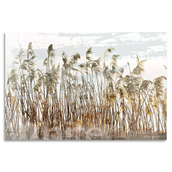 Queen Kerosin Acrylglasbild - Swinging Grasses