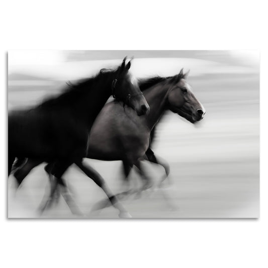 Acrylglasbild - Summer Horses