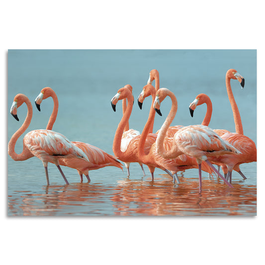 Acrylglasbild - Flamingo Group