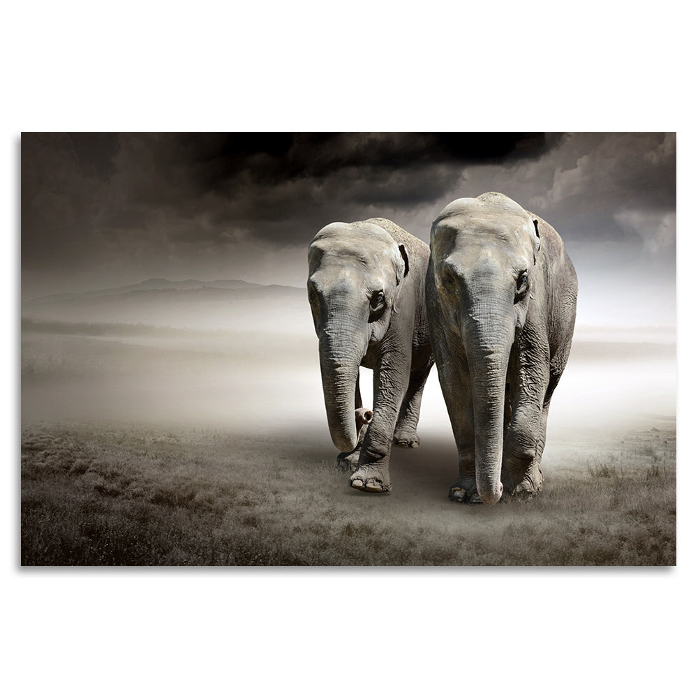 Acrylglasbild - Big Elephants