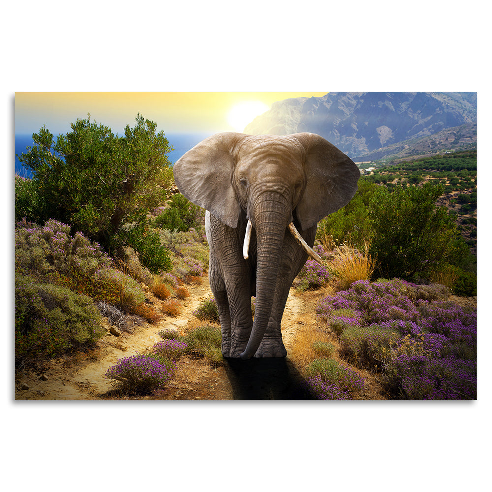 Acrylglasbild - Golden Elephant
