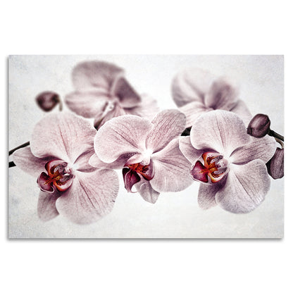 Acrylglasbild - Cherry Blossom