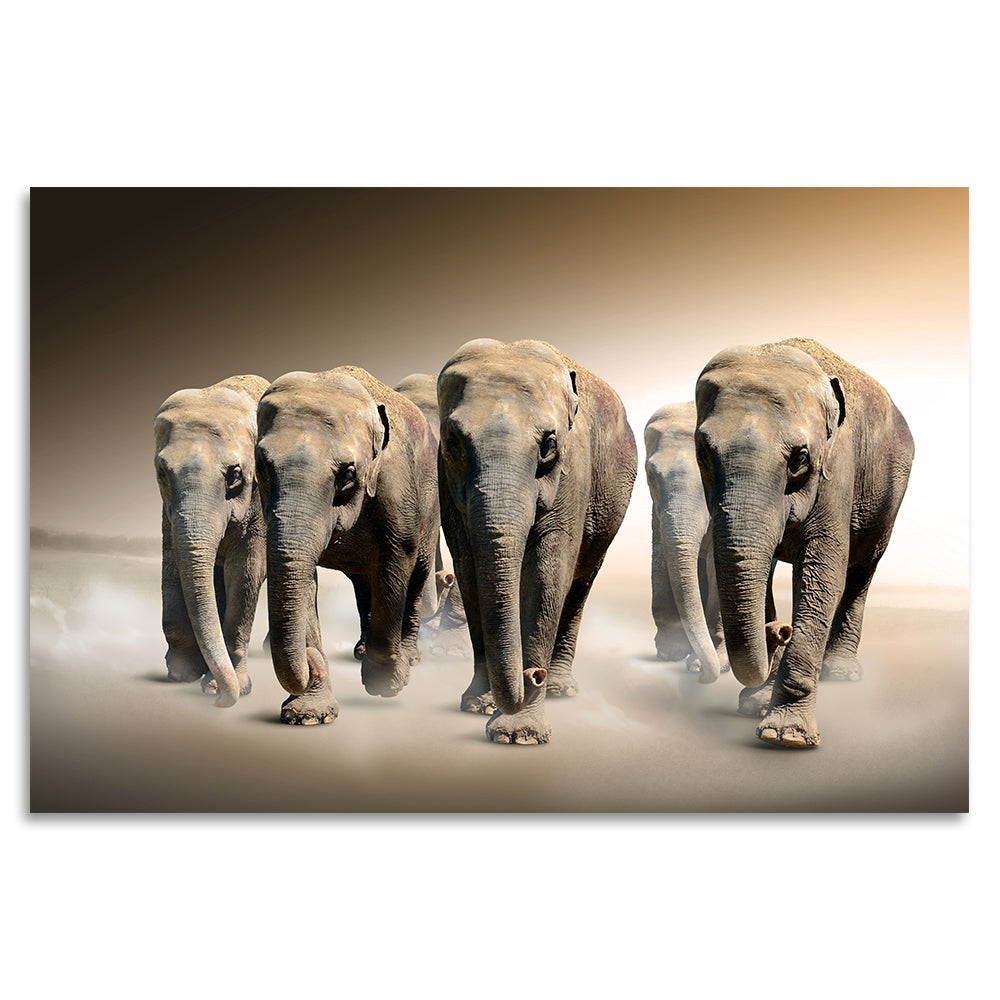 Acrylglasbild - Elephants Dream