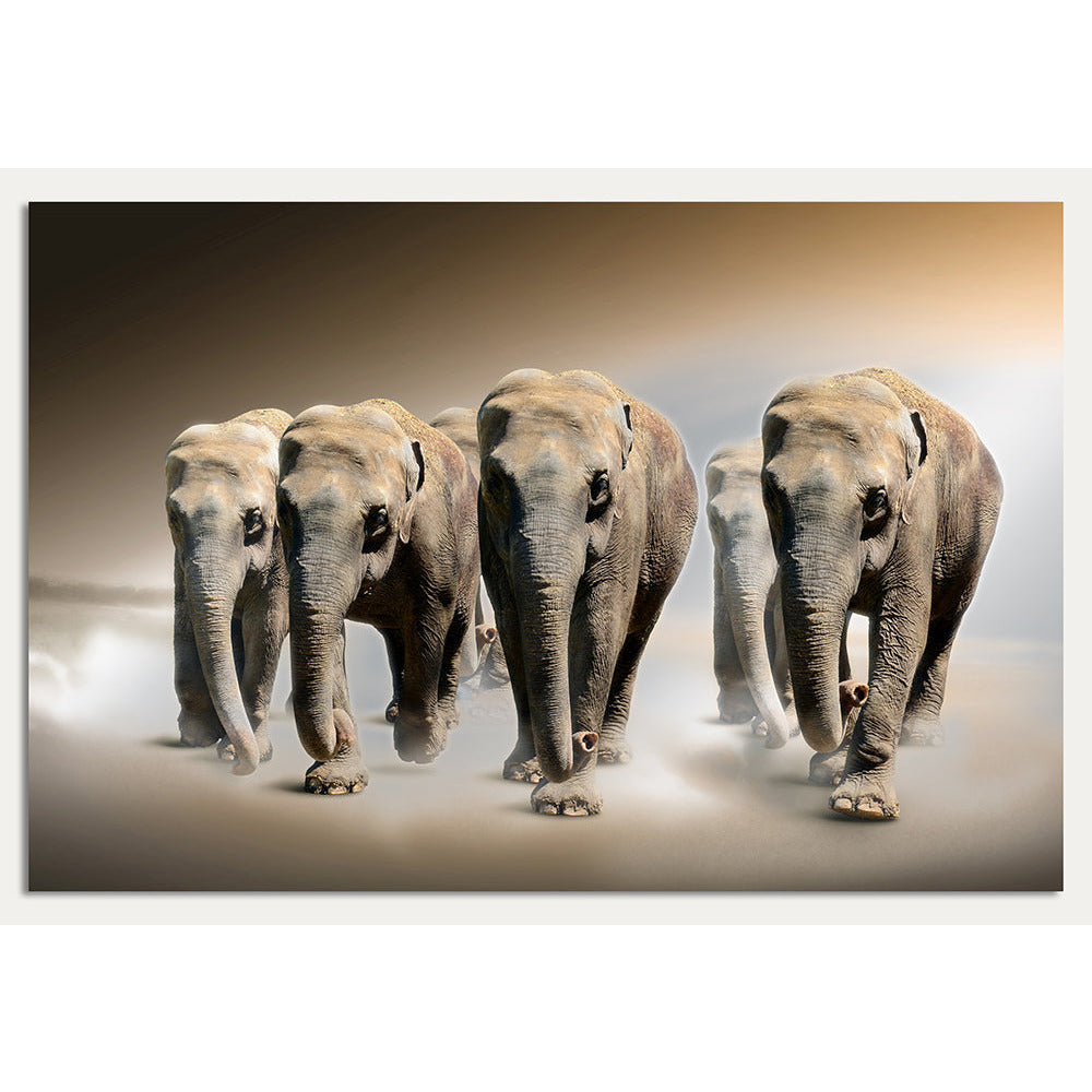 Aluminiumbild – Elephants