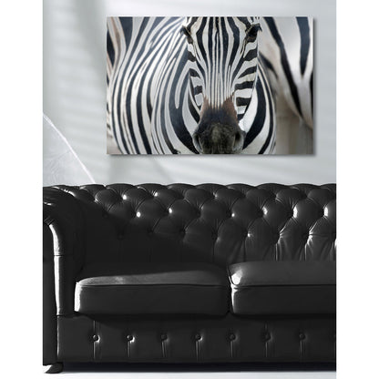 Aluminiumbild – Zebra Wohnbeispiel