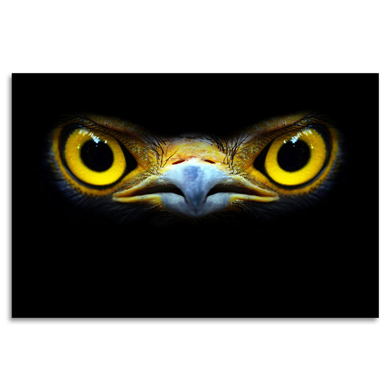 Queen Kerosin Acrylglasbild - Eagle Eyes