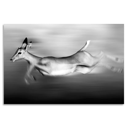 Acrylglasbild - Flying Deer