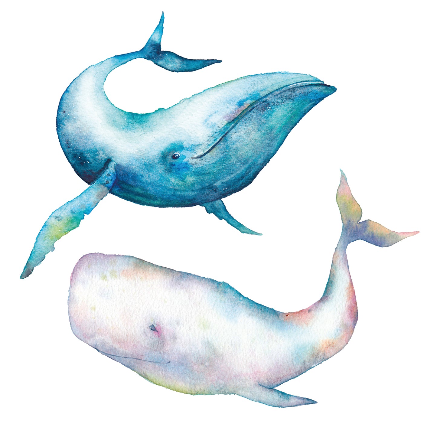 Kissenbezug - Whale Detail