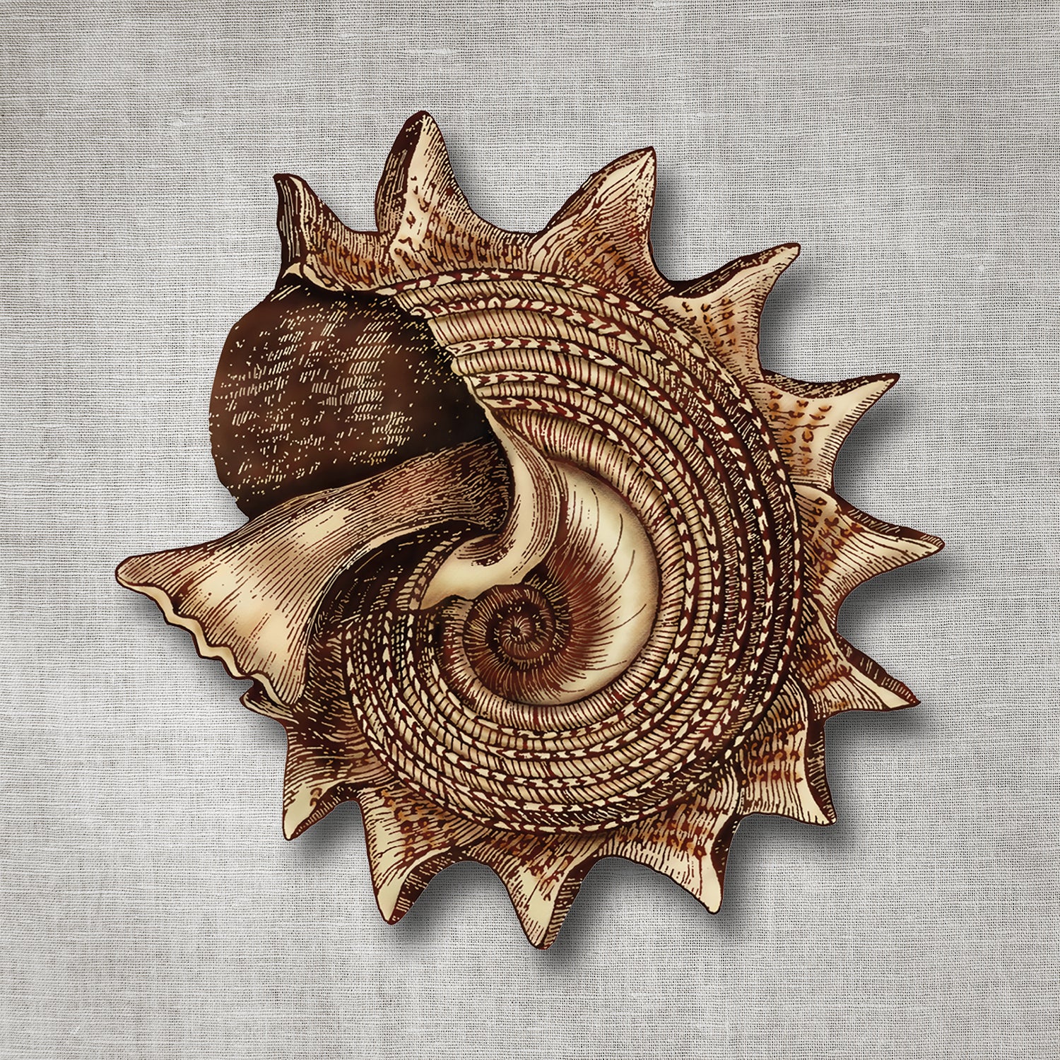 Kissenbezug - Seashell Detail