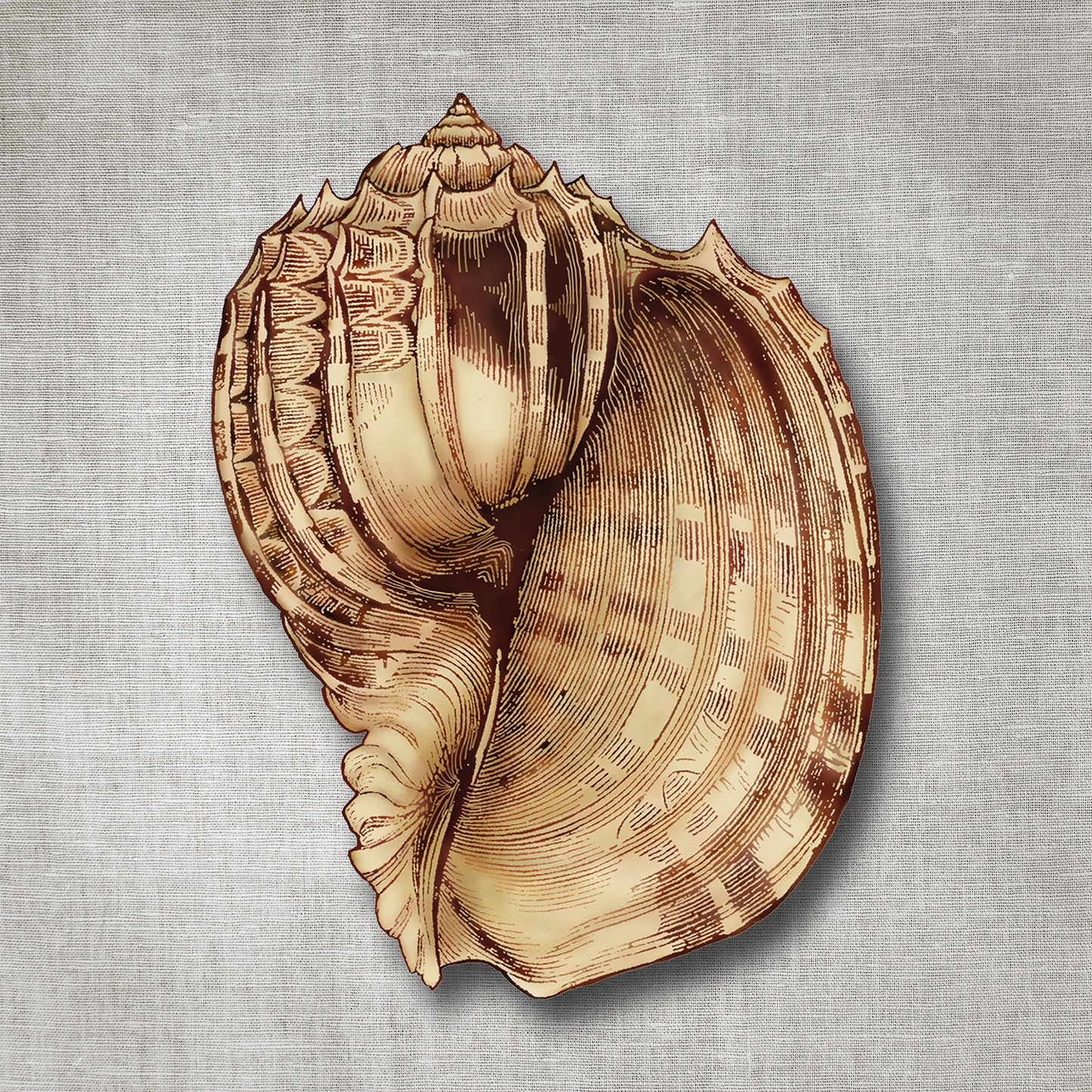 Kissenbezug - Mussel Detail